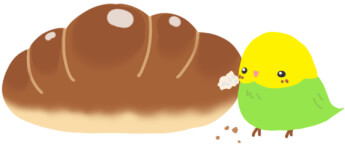 パンを突っつくインコのかわいいイラスト